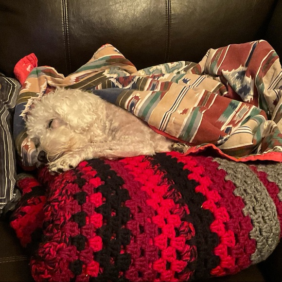 Meet your Posher, Cassie - Picture 5 of 16